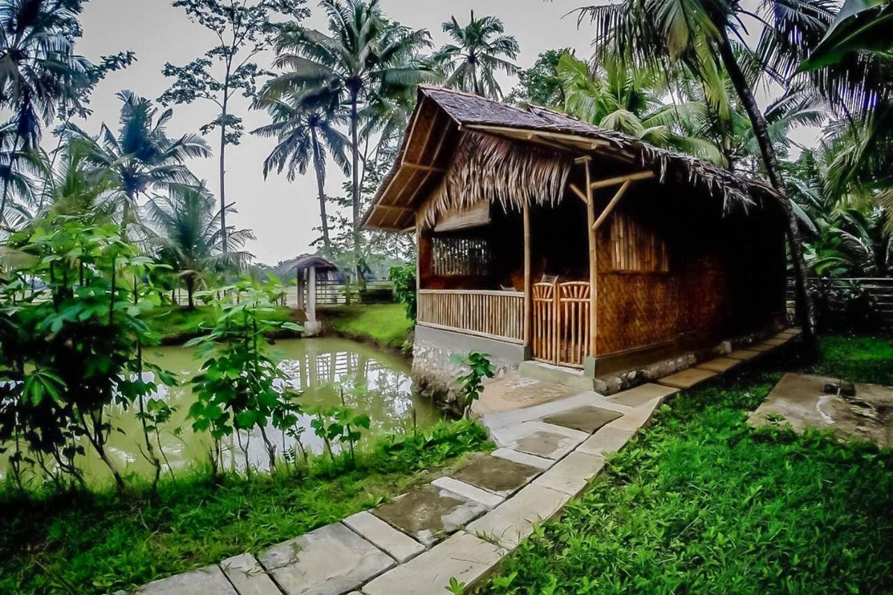 Baleku Bamboo Retreat Hotel Pangandaran Bagian luar foto